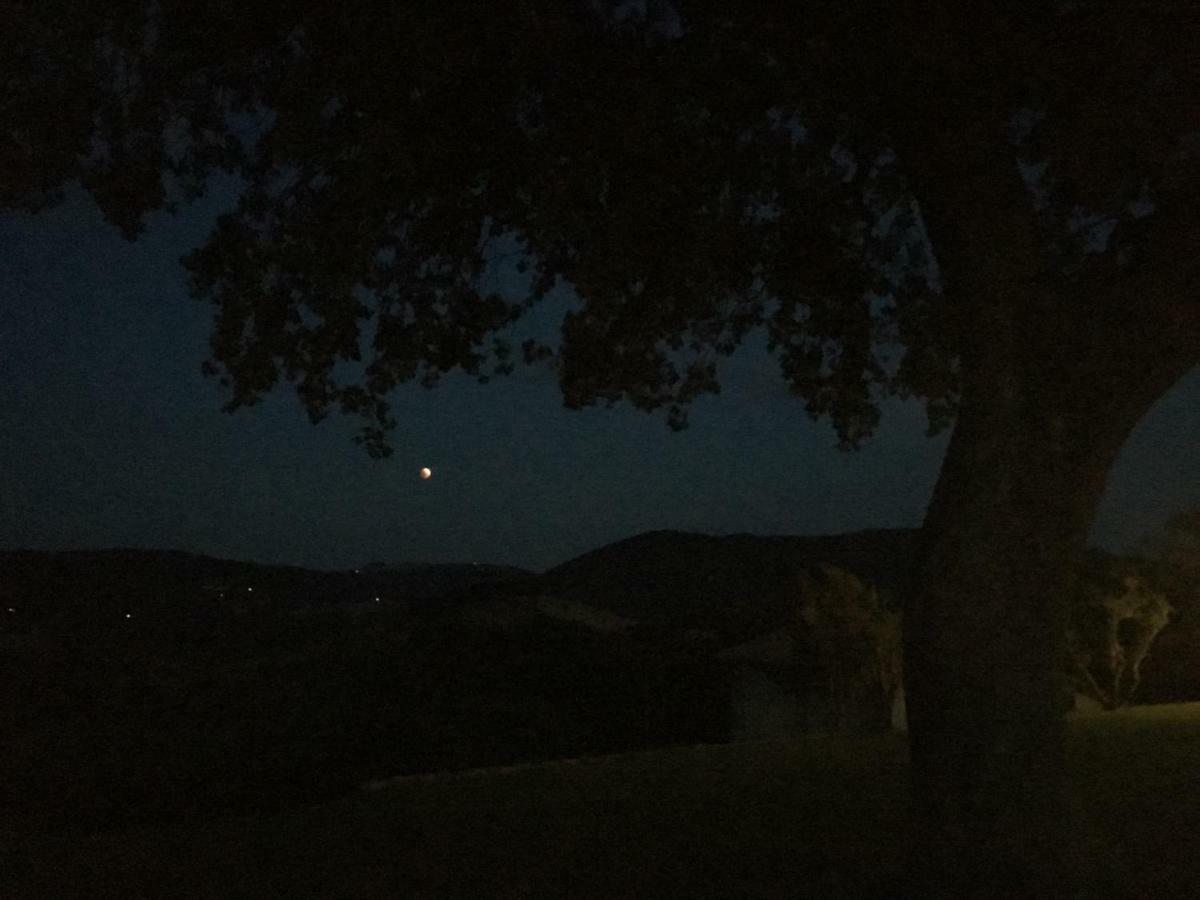 La Cerqua Villa Arcevia Buitenkant foto